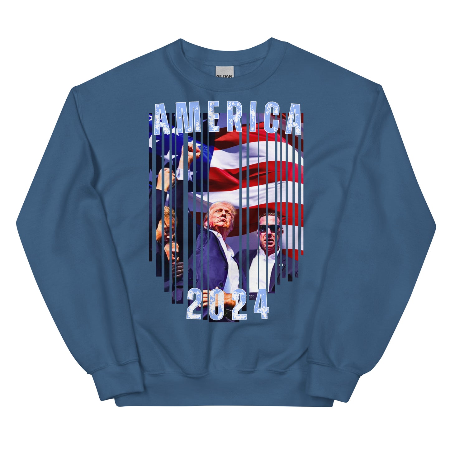 America 2024 Premium Crewneck Sweatshirt