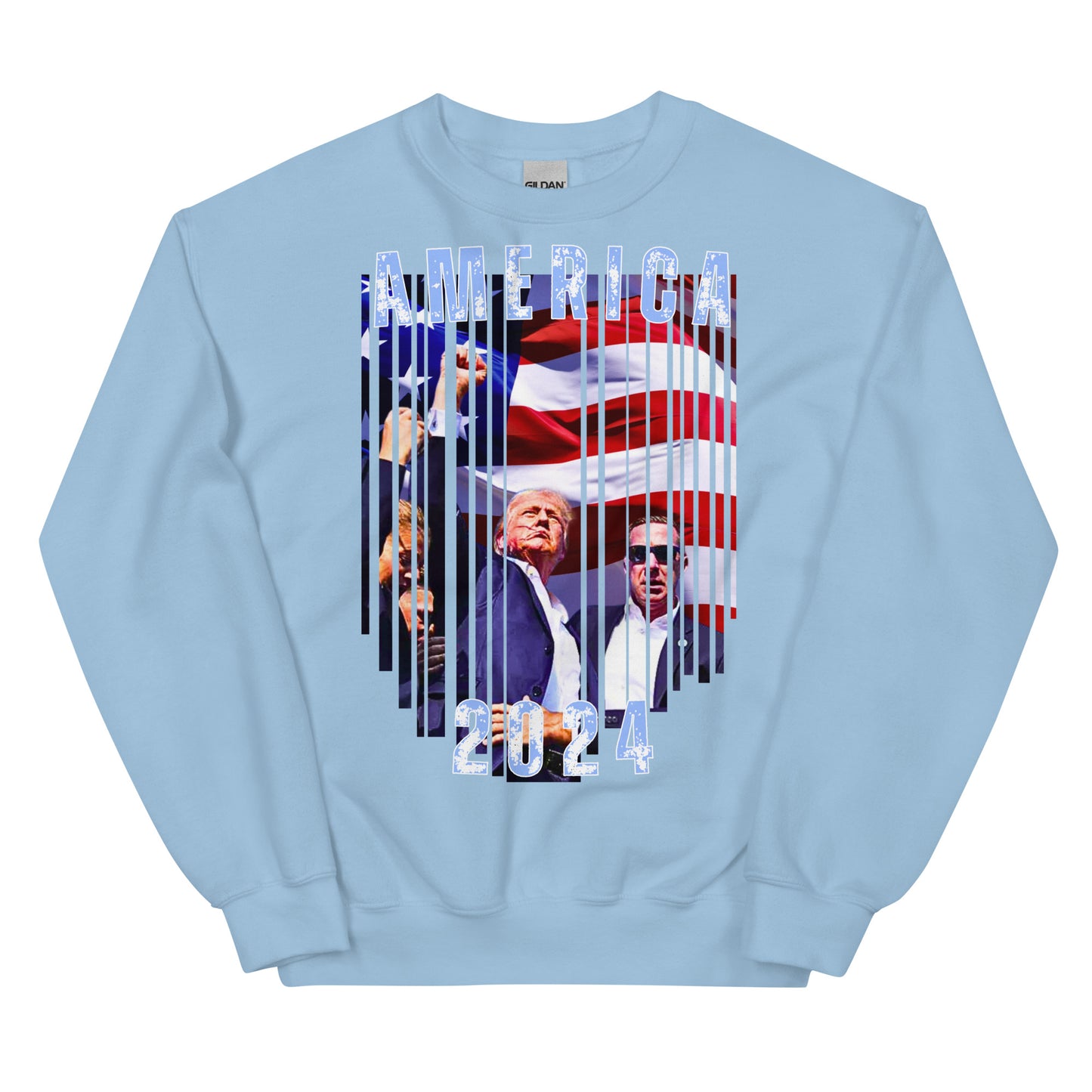 America 2024 Premium Crewneck Sweatshirt