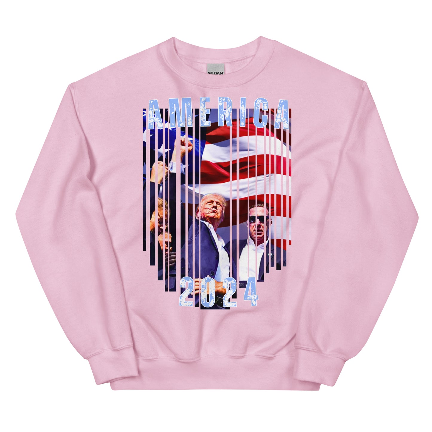 America 2024 Premium Crewneck Sweatshirt