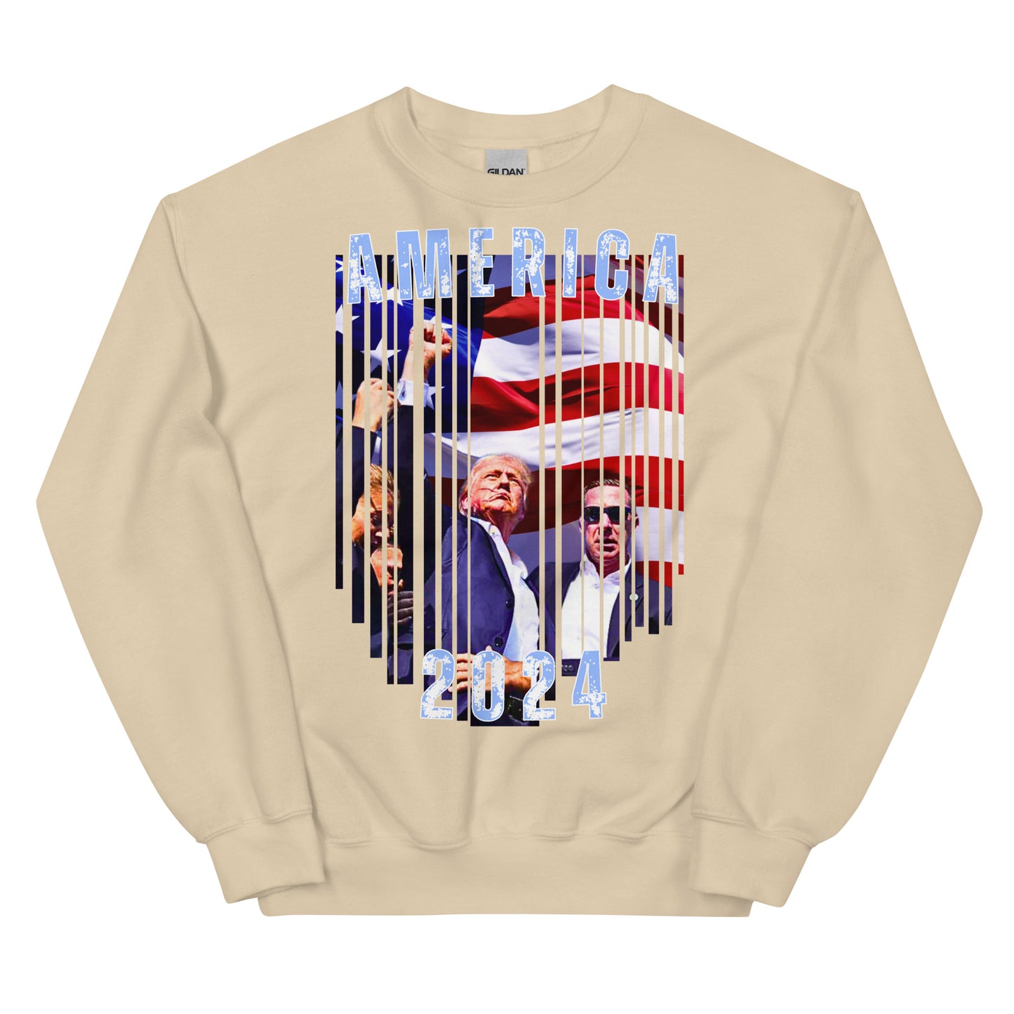 America 2024 Premium Crewneck Sweatshirt