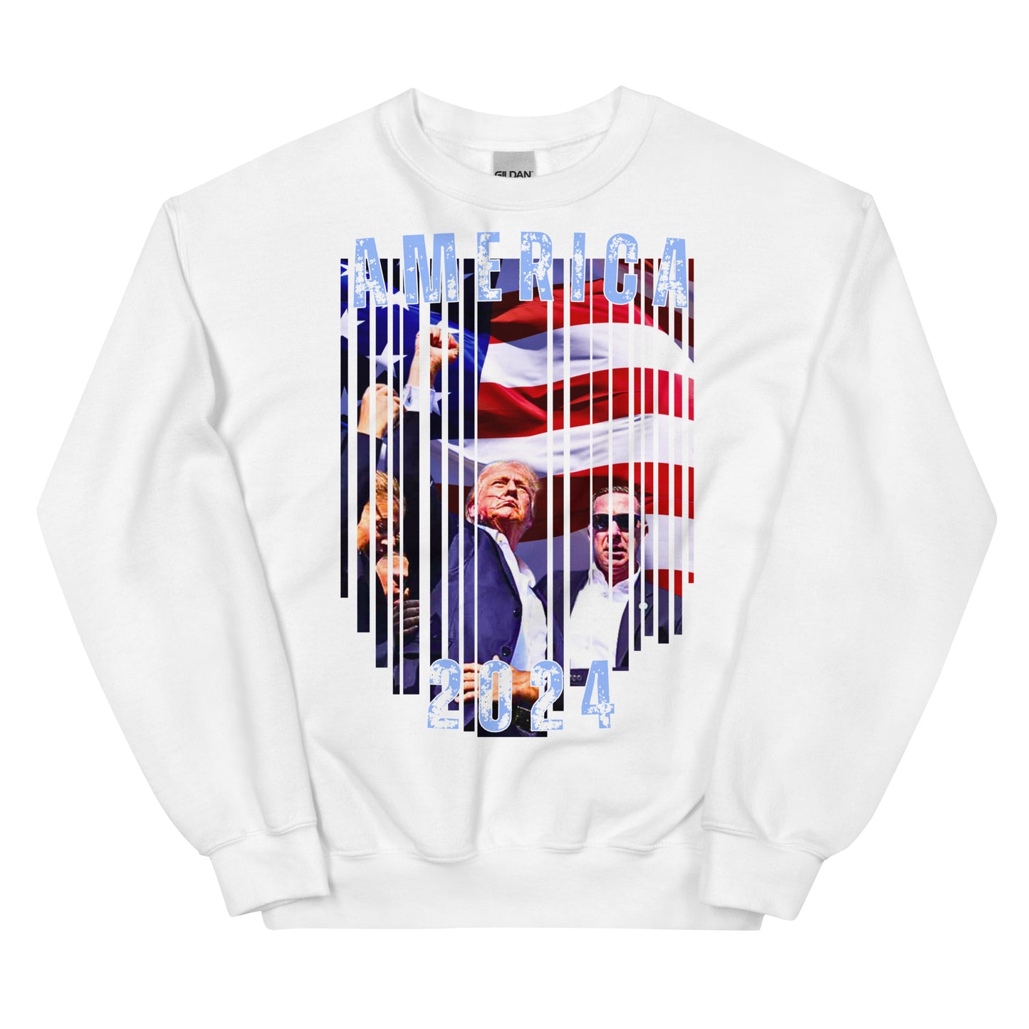 America 2024 Premium Crewneck Sweatshirt