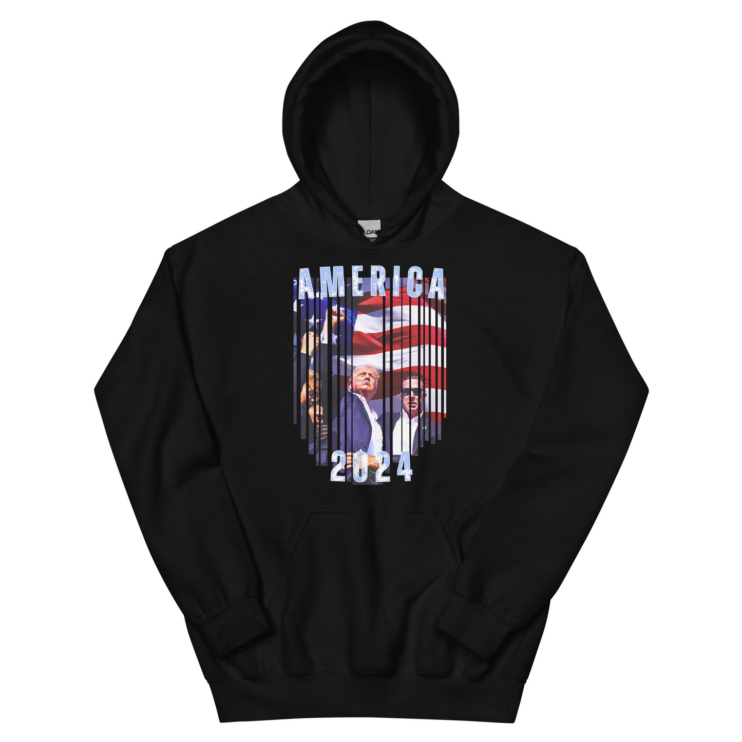 America 2024 Premium Hoodie