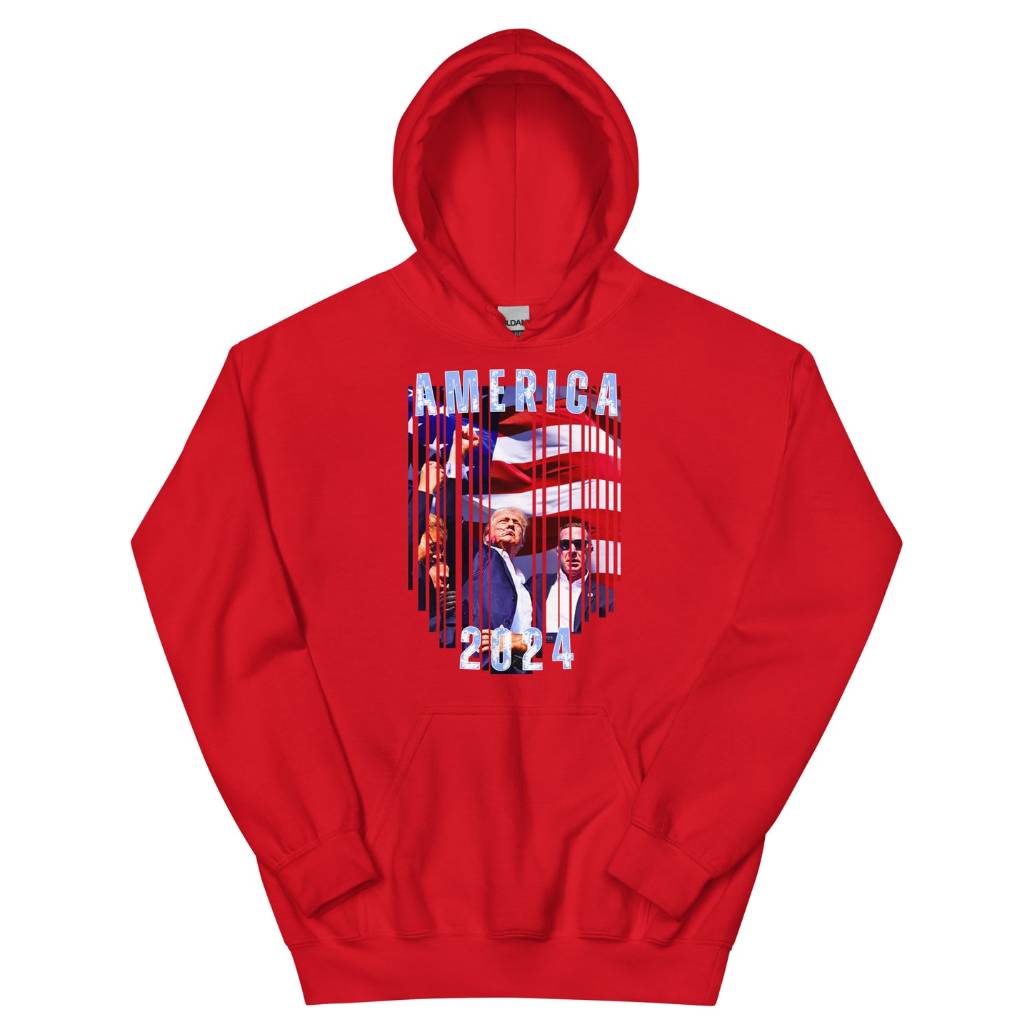 America 2024 Premium Hoodie