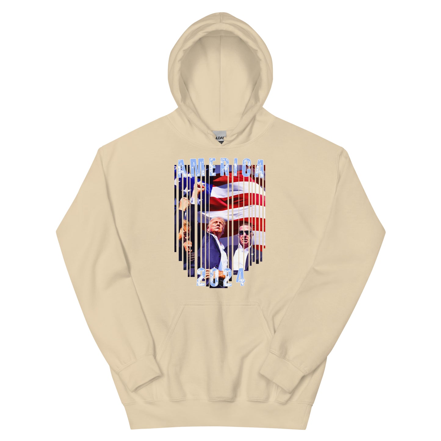 America 2024 Premium Hoodie