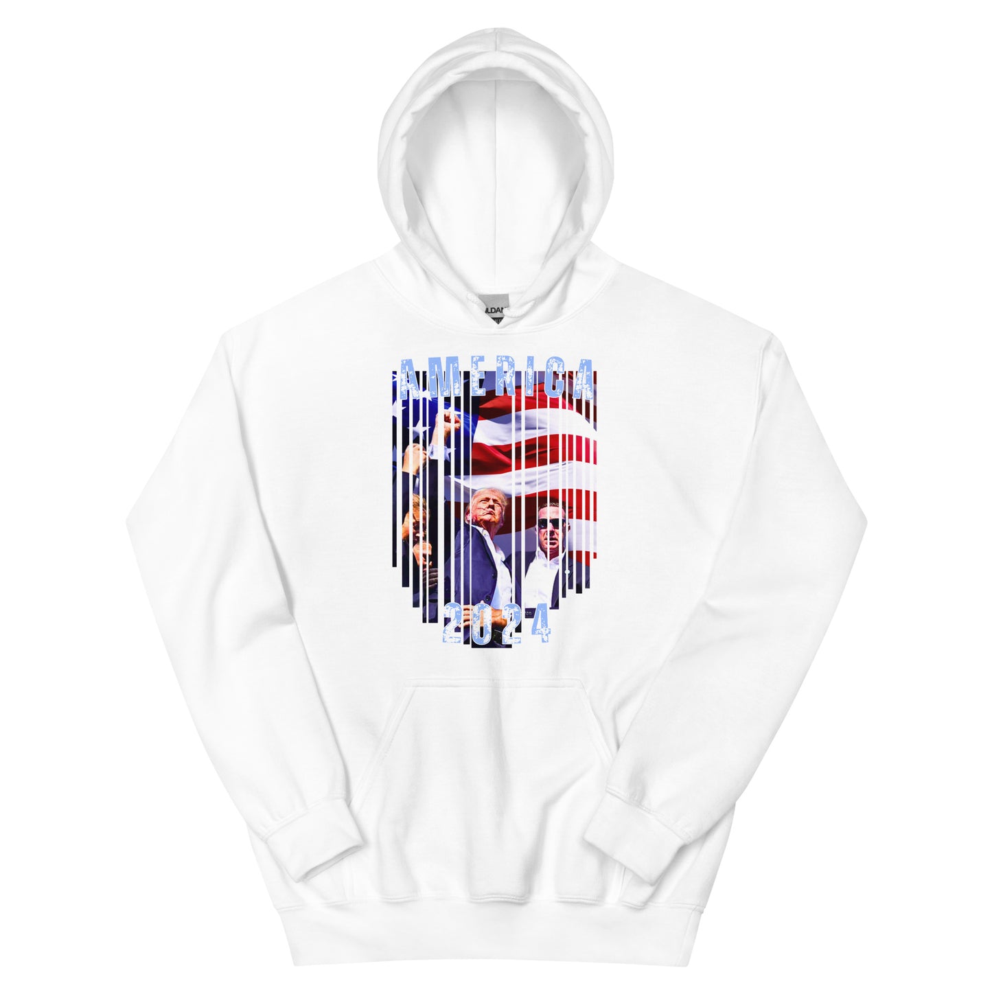 America 2024 Premium Hoodie